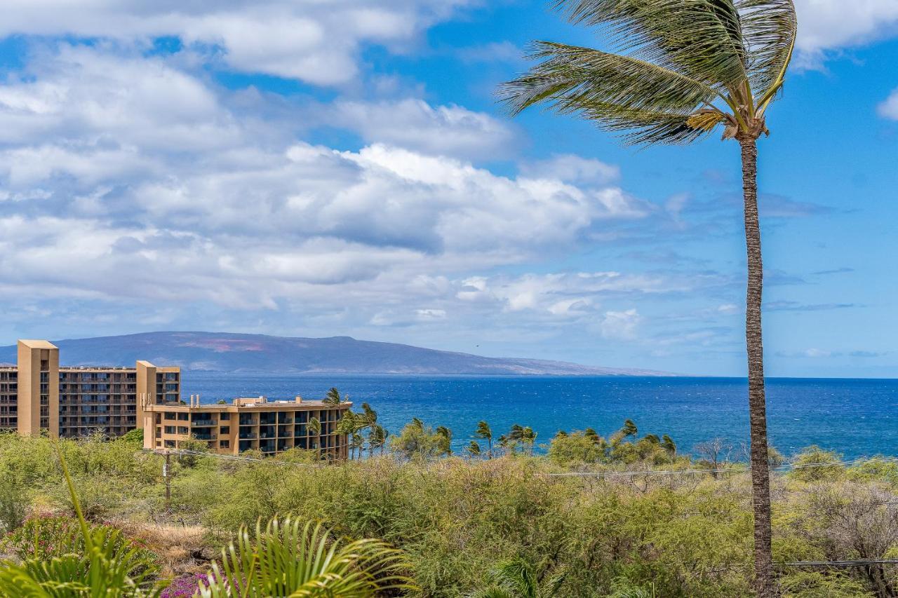 Maui Kamaole A204 - Romvari Realty Kihei Exteriör bild
